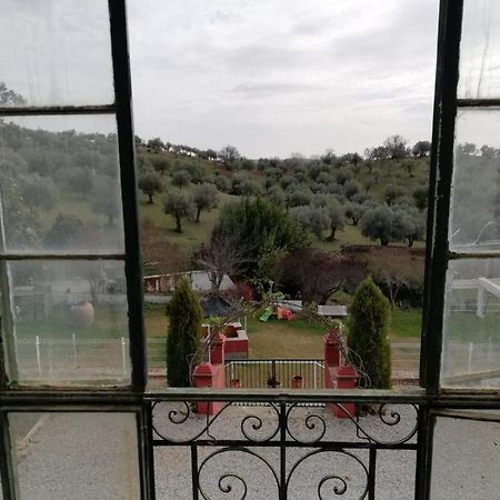 Finca La Carnicera كونستانتينا المظهر الخارجي الصورة