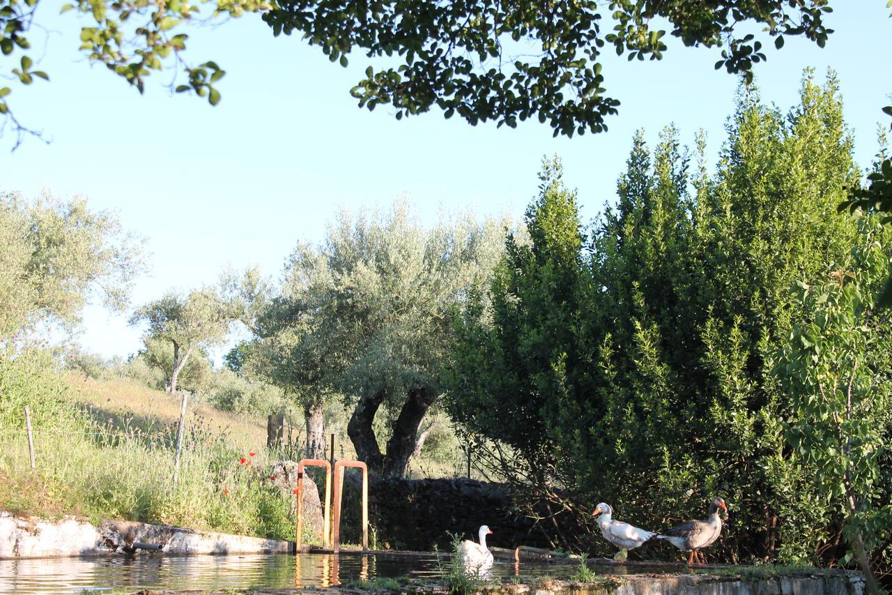 Finca La Carnicera كونستانتينا المظهر الخارجي الصورة