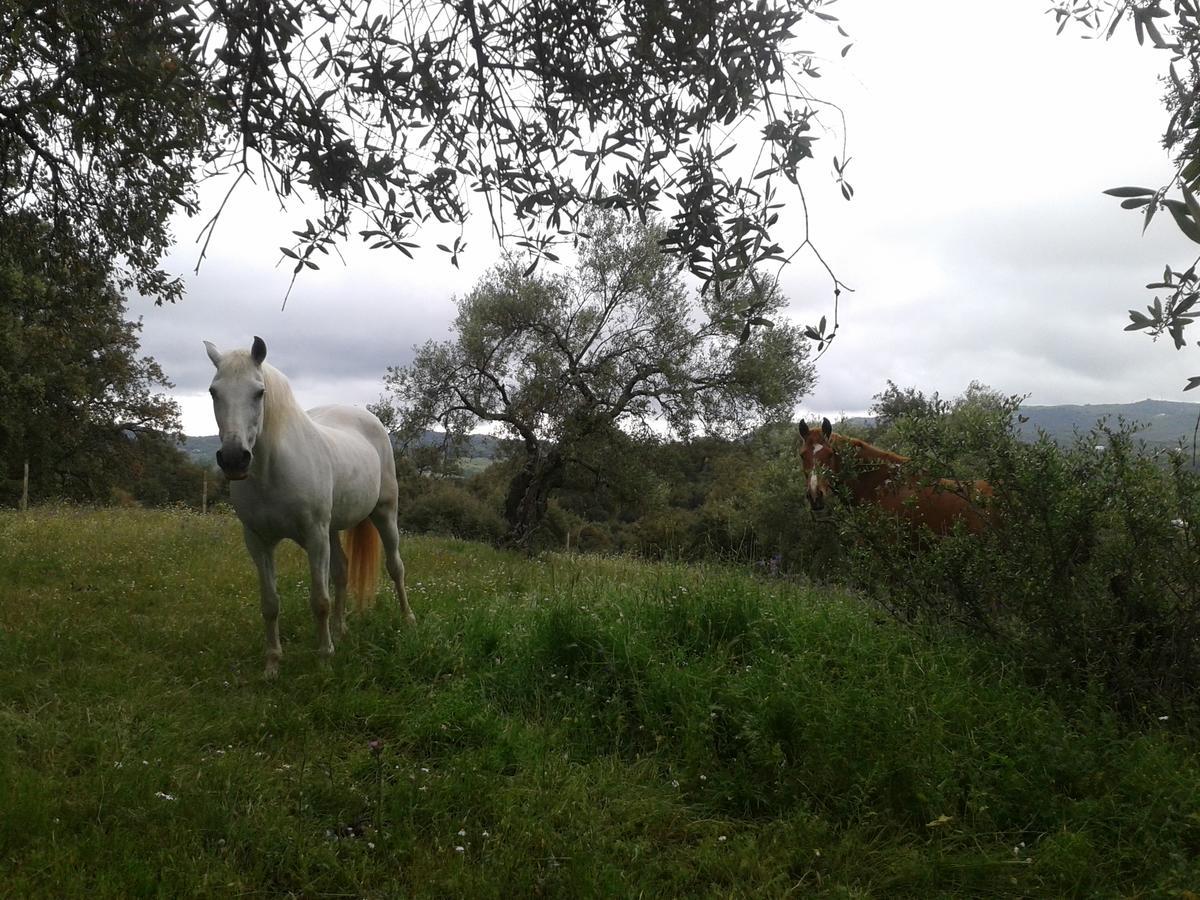 Finca La Carnicera كونستانتينا المظهر الخارجي الصورة