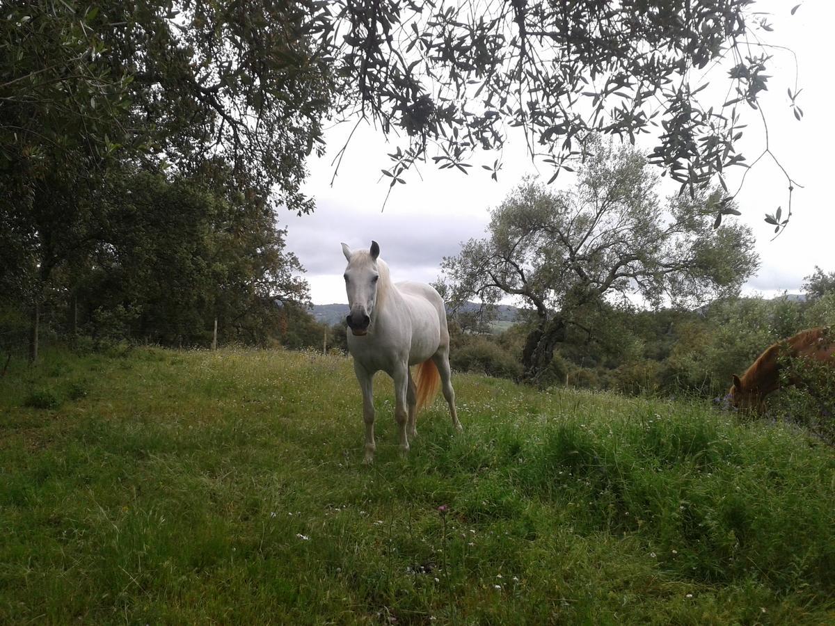 Finca La Carnicera كونستانتينا المظهر الخارجي الصورة