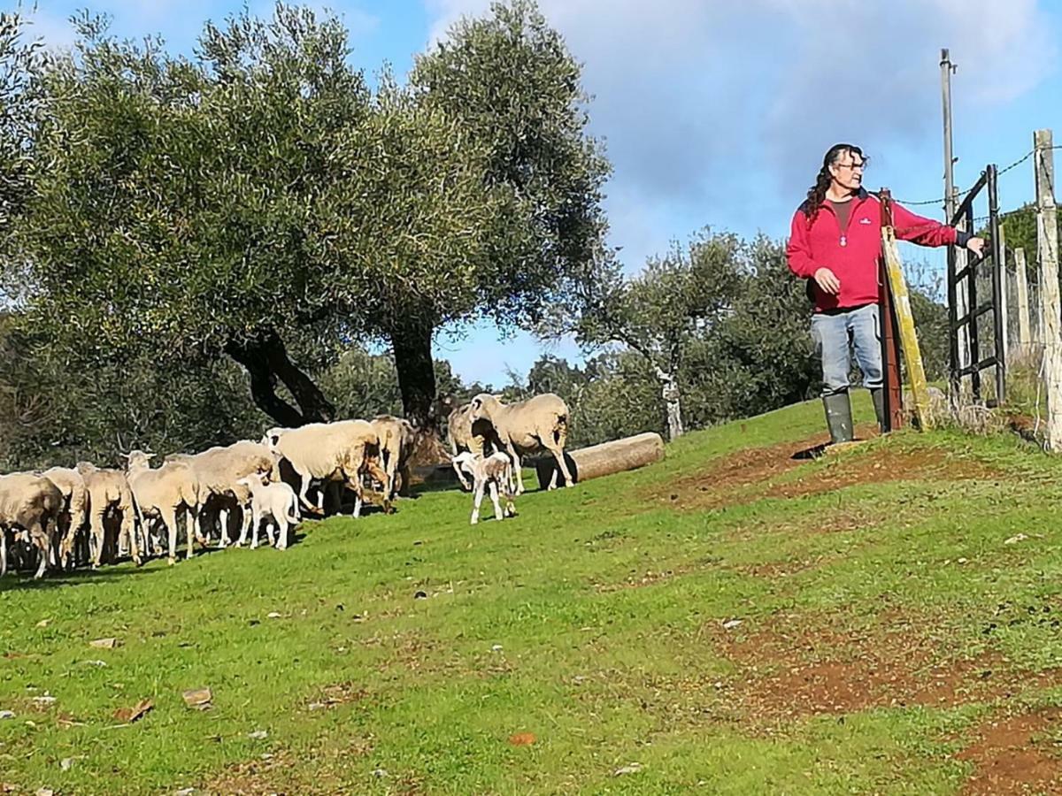 Finca La Carnicera كونستانتينا المظهر الخارجي الصورة