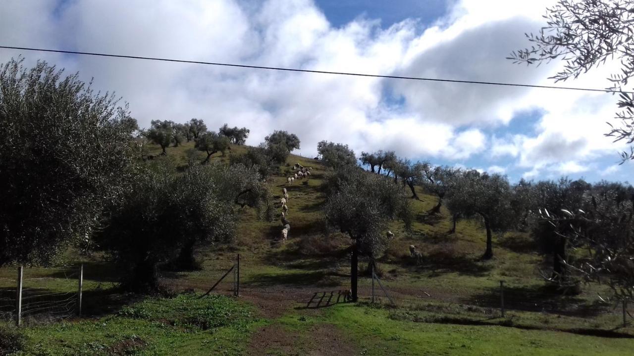Finca La Carnicera كونستانتينا المظهر الخارجي الصورة