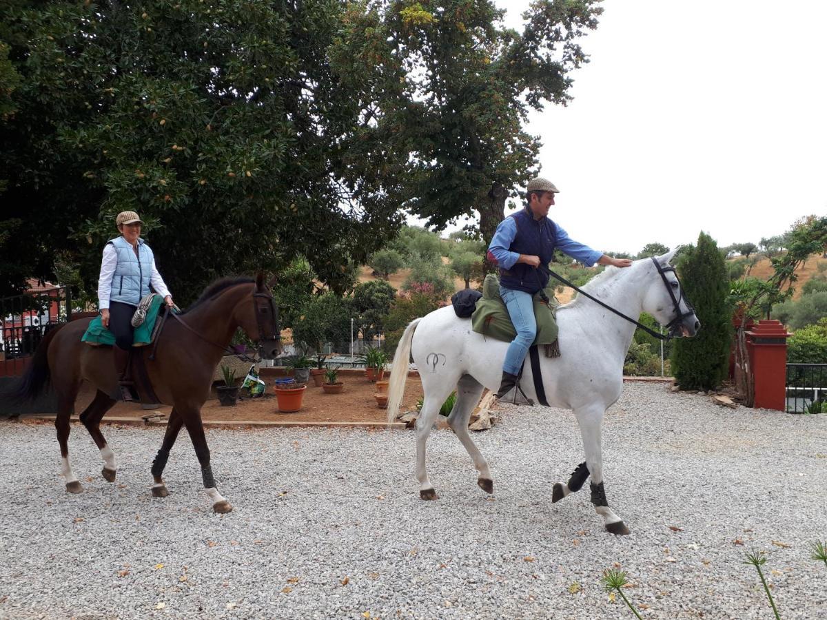 Finca La Carnicera كونستانتينا المظهر الخارجي الصورة