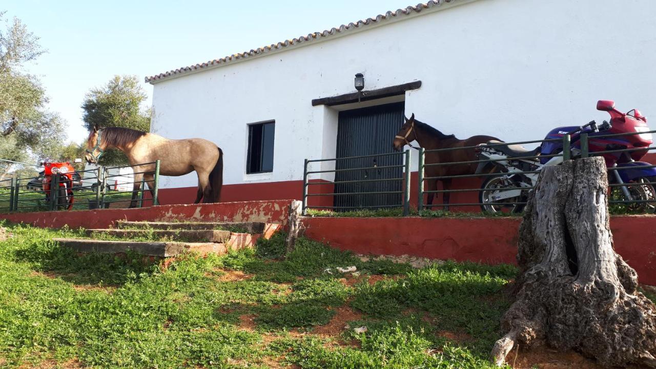 Finca La Carnicera كونستانتينا المظهر الخارجي الصورة