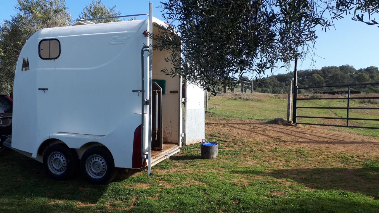 Finca La Carnicera كونستانتينا المظهر الخارجي الصورة