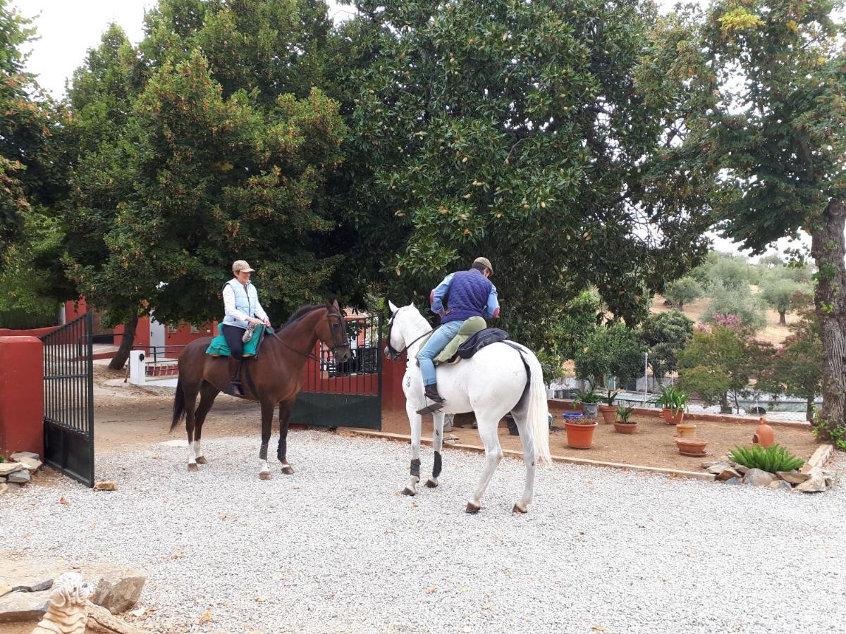 Finca La Carnicera كونستانتينا المظهر الخارجي الصورة